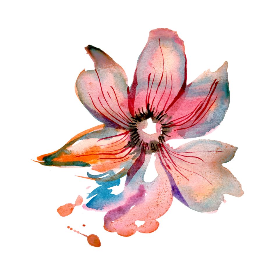 collection-img